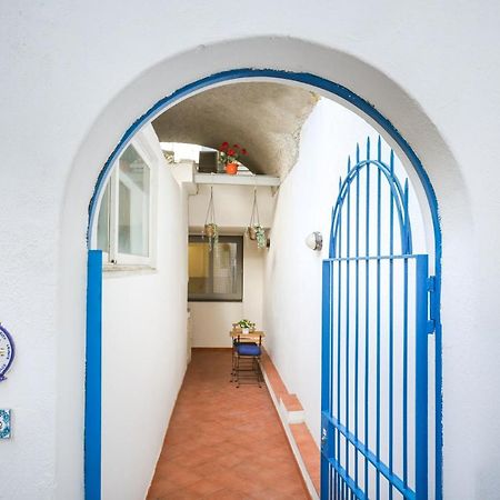 Appartamento Panoramico La Rosa Dei Venti - Maestrale Ischia Eksteriør billede